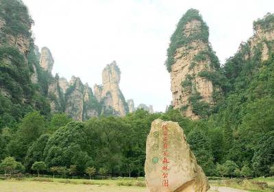 走湘西——張家界、鳳凰古城游記(一)