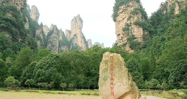 張家界國(guó)家森林公園 張家界國(guó)家森林公園