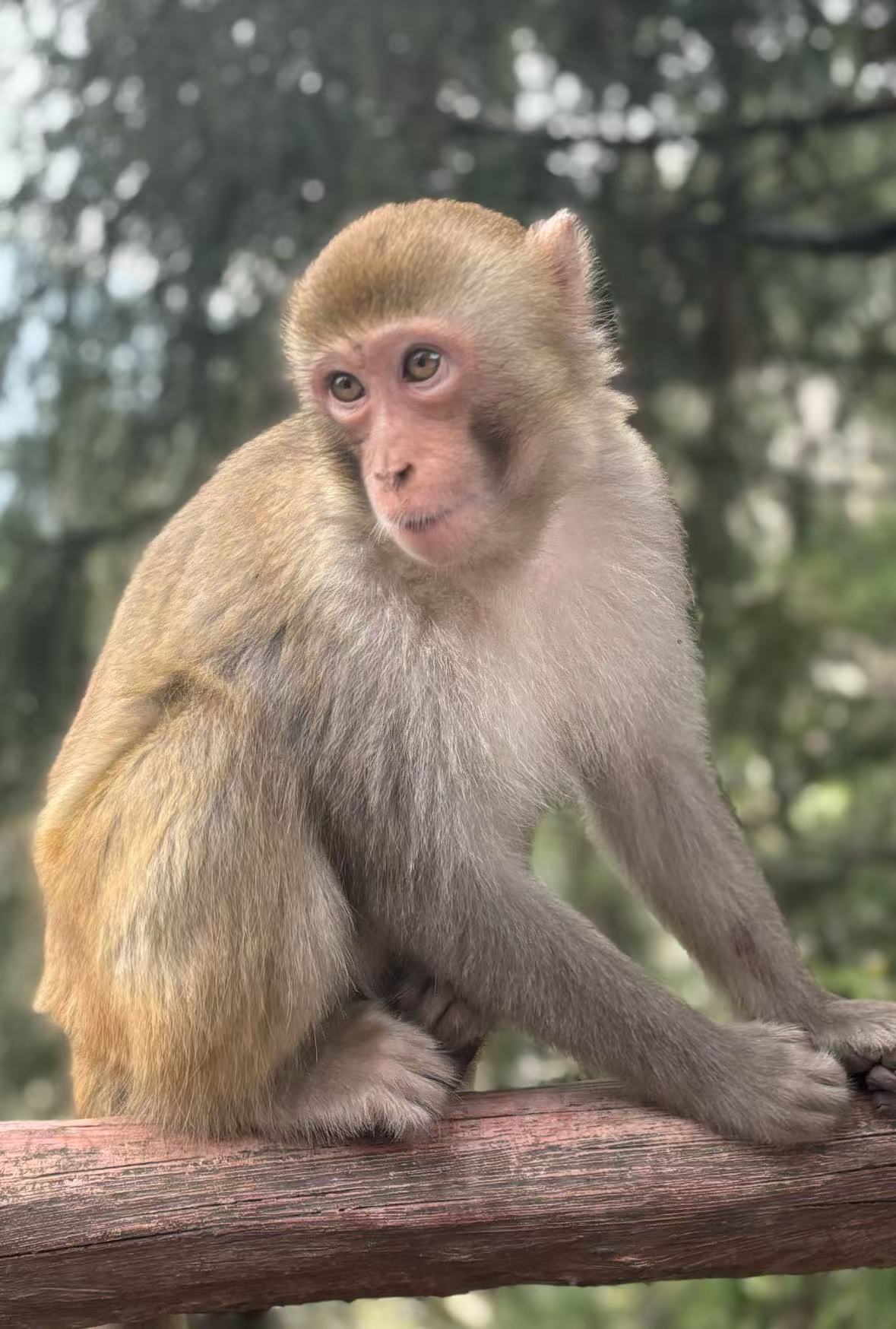 微信圖片_20250220111017 微信圖片_20250220111017