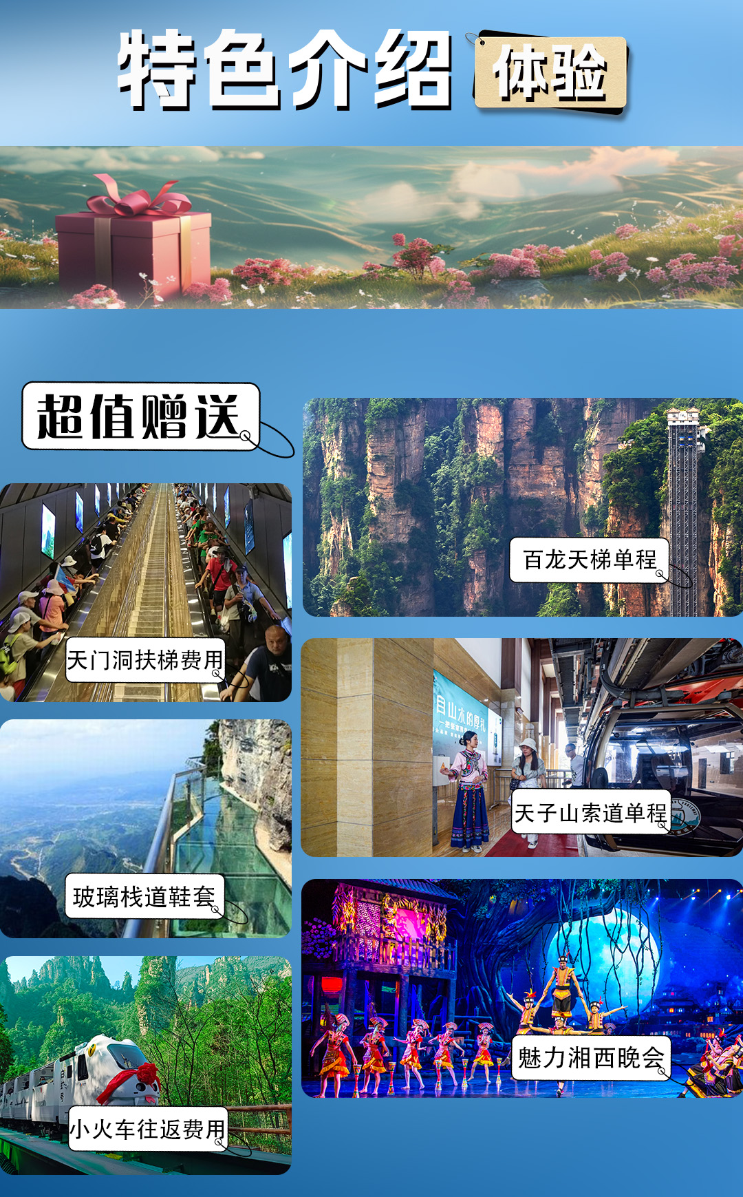 特色介紹 特色介紹